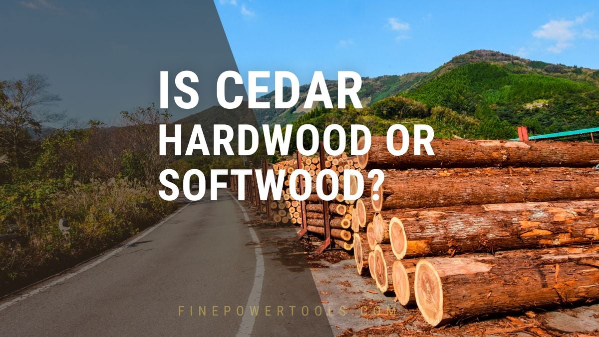 Is Cedar a Hardwood or Softwood?