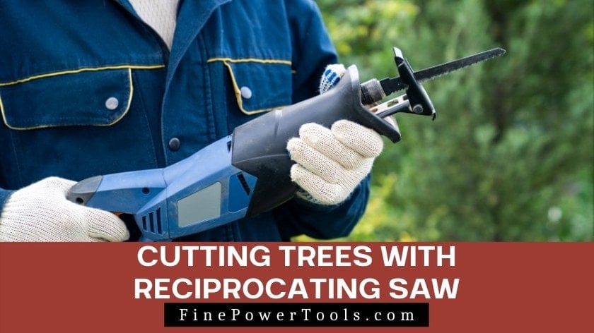 Cutting Trees with Reciprocating Saw