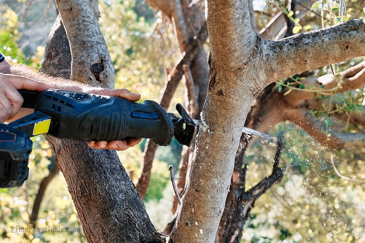 Cutting Tree with Reciprocating Saw